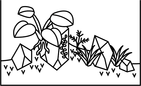 パルダリウム（自然環境の再現）