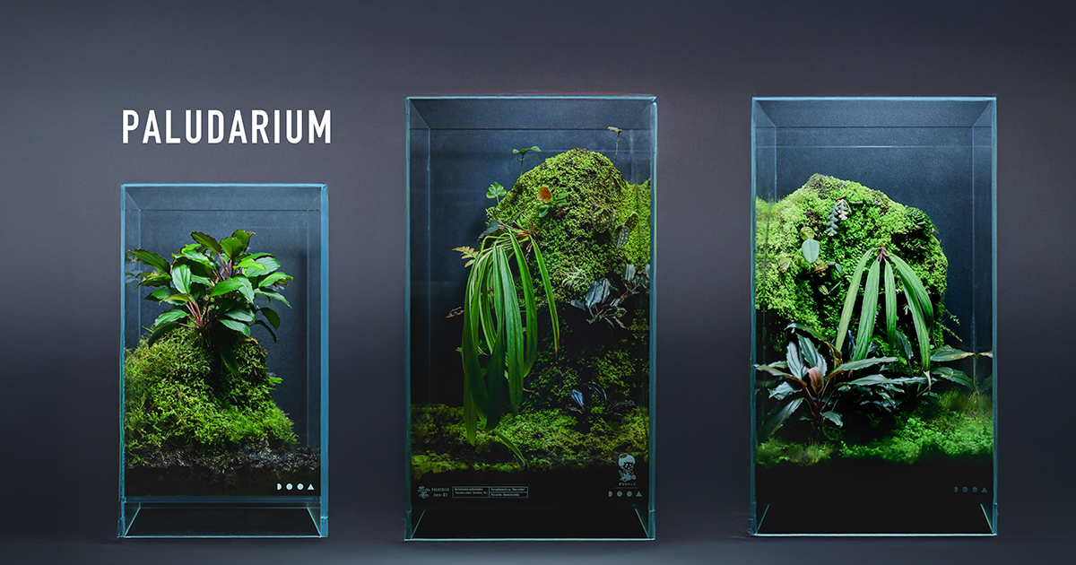 パルダリウム水槽