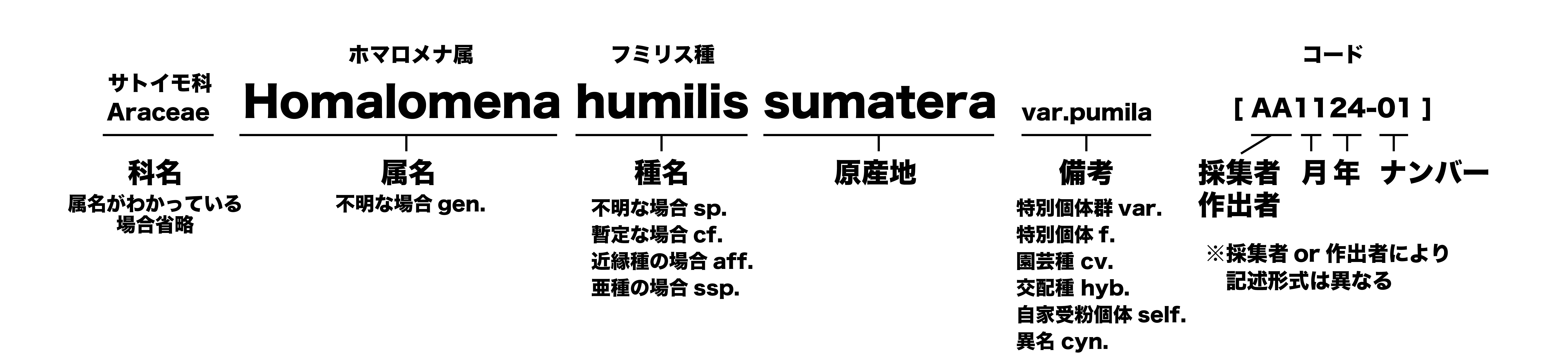 植物のネームタグ例と解説